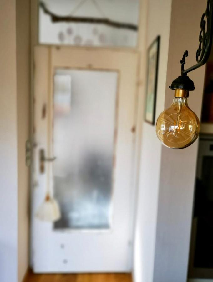 Ferienwohnung Sternstube De Luxe 巴特哈尔茨堡 外观 照片