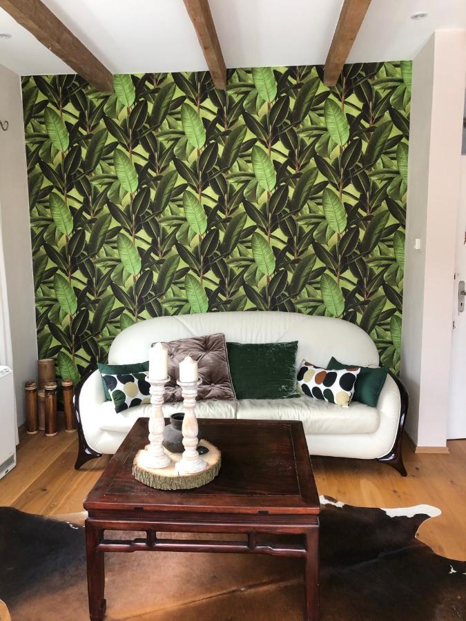 Ferienwohnung Sternstube De Luxe 巴特哈尔茨堡 外观 照片